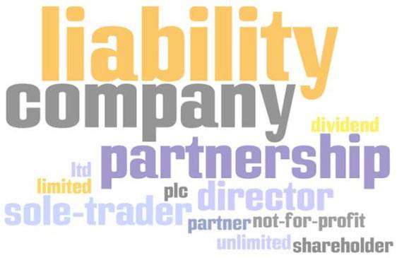 Types Of Company Private Limited Company vs LLP vs OPC vs Partnership vs Proprietorship