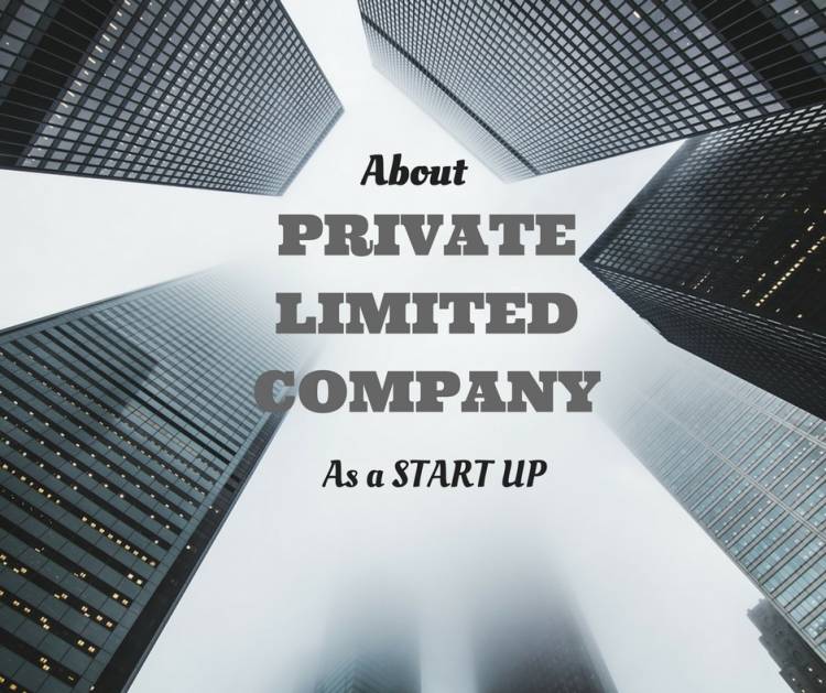  What Are Examples Of Private Limited Companies?