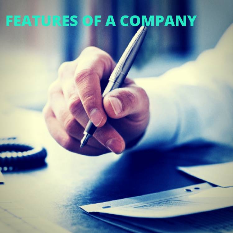 FEATURES OF A COMPANY: THE BASIC ATTRIBUTES