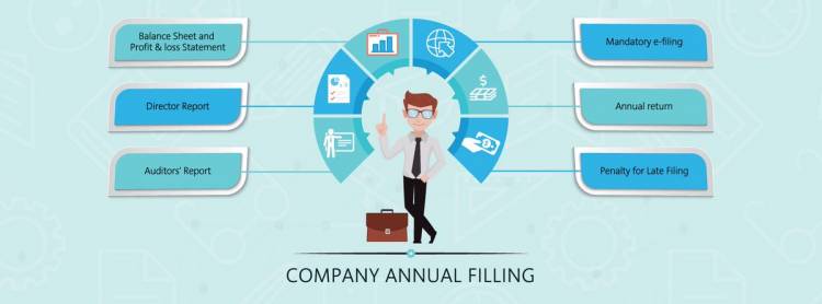 All about Annual Filing for Private Limited Company in India 
