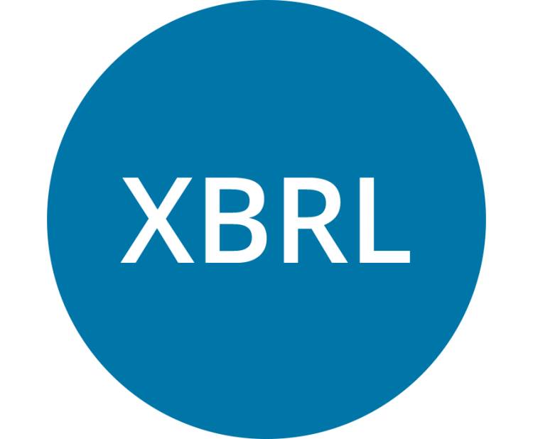 XBRL|A medium to exchange financial Information 