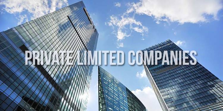 Strategic Advantages to opt Private Limited Companies