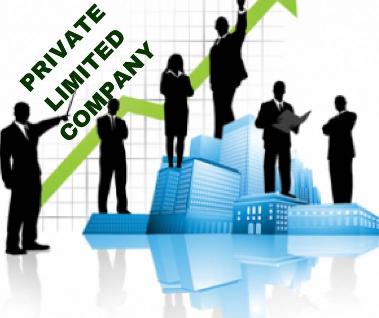 What is private Limited Company? 