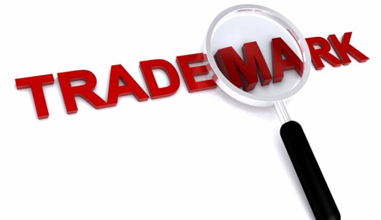 What is Trademark Examination report?