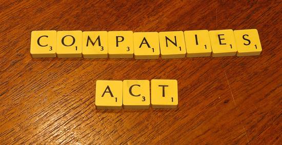 New Concepts in Companies Act 2013