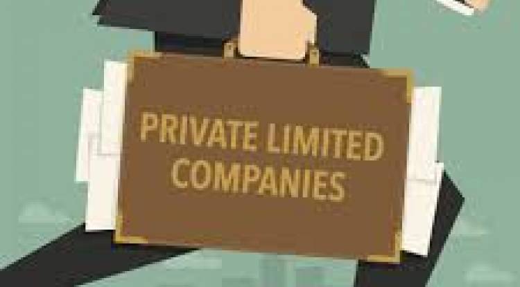 Exemptions for Private Limited Companies