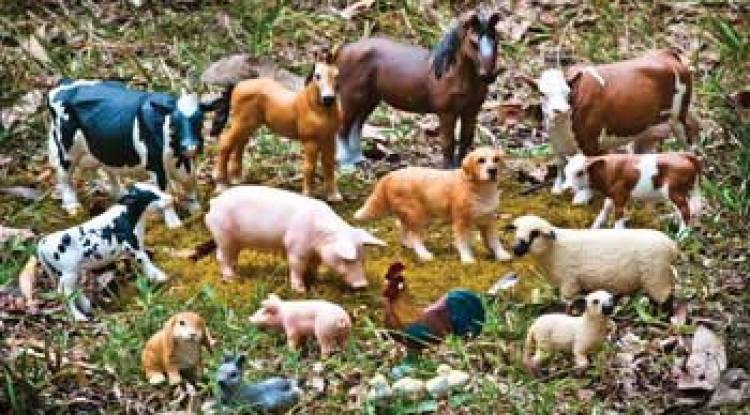 GST Tax Rates for Live Animals & Live horses (Livestock) – Chapter-1