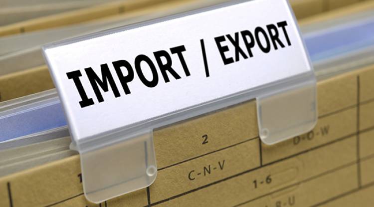 How do I get an import/export license in India to do business with China or any other country?