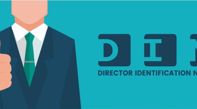 What is Director Identification Number?