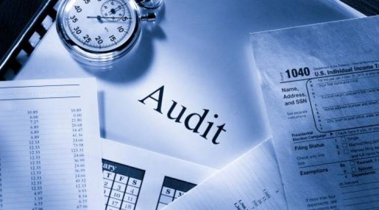 Variants of Audit under Companies Act, 2013 