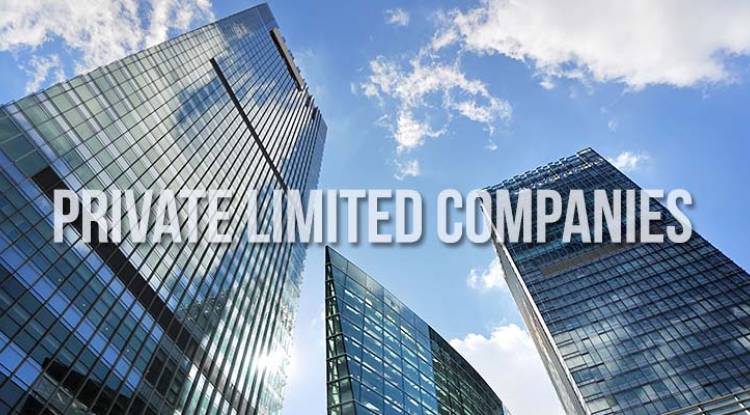 Strategic Advantages to opt Private Limited Companies