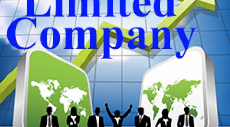  Can procedure for public limited company registration be done totally online?