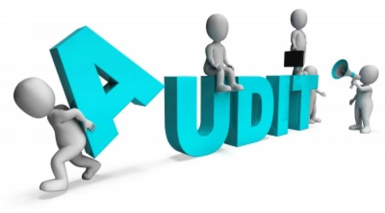 WHAT IS AUDITING?