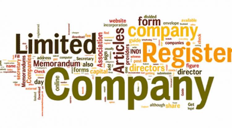 WHAT IS THE TIME LIMIT TO FILE THE CLOSING OF ONE PERSON COMPANY DOCUMENTS TO REGISTRAR OF COMPANIES?