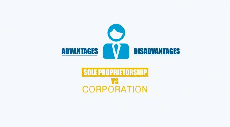 Proprietorship Firm vs Private Limited Company : Advantages And Disadvantages