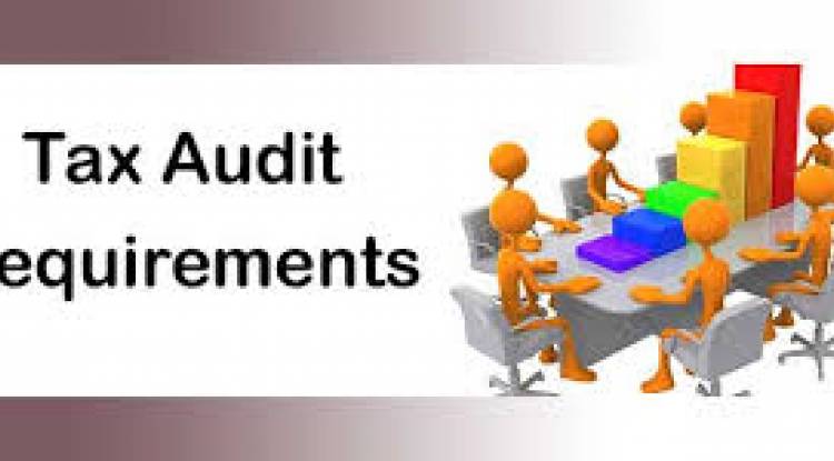 What is the difference between statutory audit and tax audit?