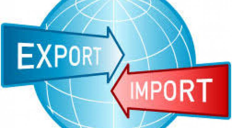 Are import-export licenses and import-export codes one and the same?