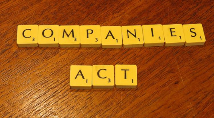 New Concepts in Companies Act 2013