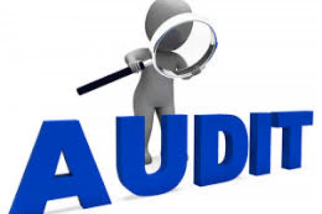 What Is Secretarial Audit?