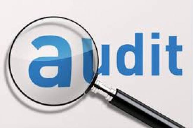 ACCOUNTING AND AUDIT OF COMPANY & LLP