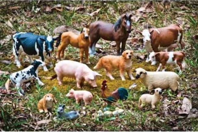 GST Tax Rates for Live Animals & Live horses (Livestock) – Chapter-1