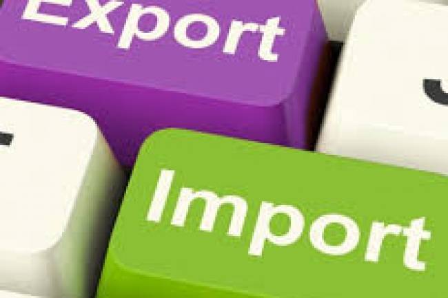 What is Import Export Code (IEC)?