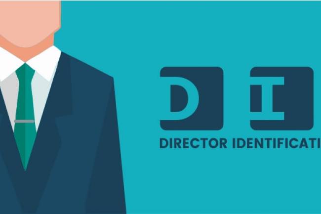 What is Director Identification Number? 
