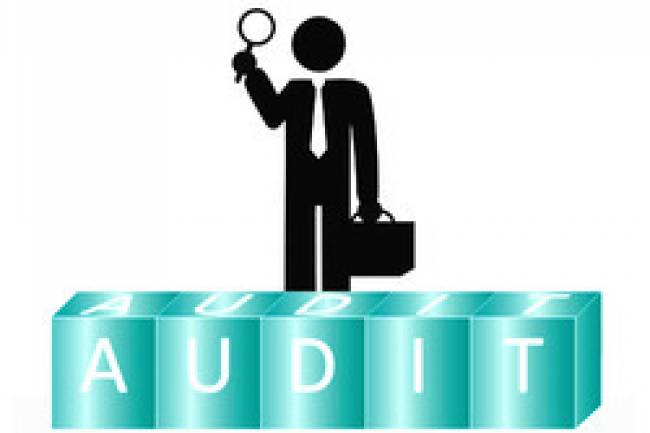 Statutory Audit in India