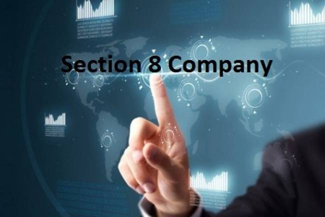 What is the minimum capital requirement for section 8 company?