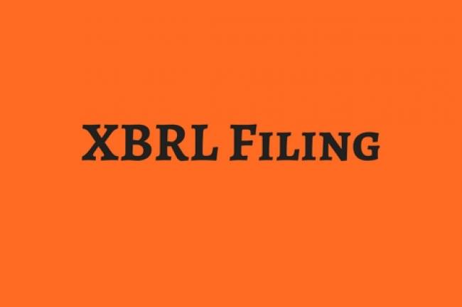 WHAT IS THE DOCUMENTS REQUIRED FOR XBRL FILLING?