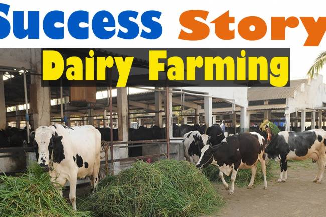 How can I start a dairy business in India?