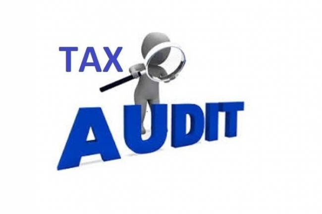 When you get a tax audit what can you do?