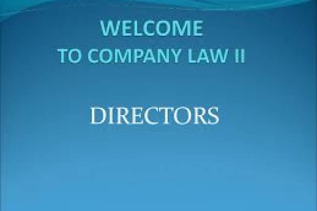 Types of Directors as per Companies Act 2013