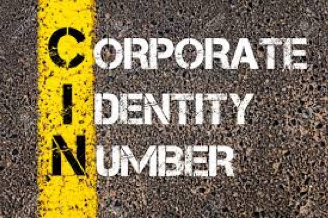 Corporate Identification Number (CIN)
